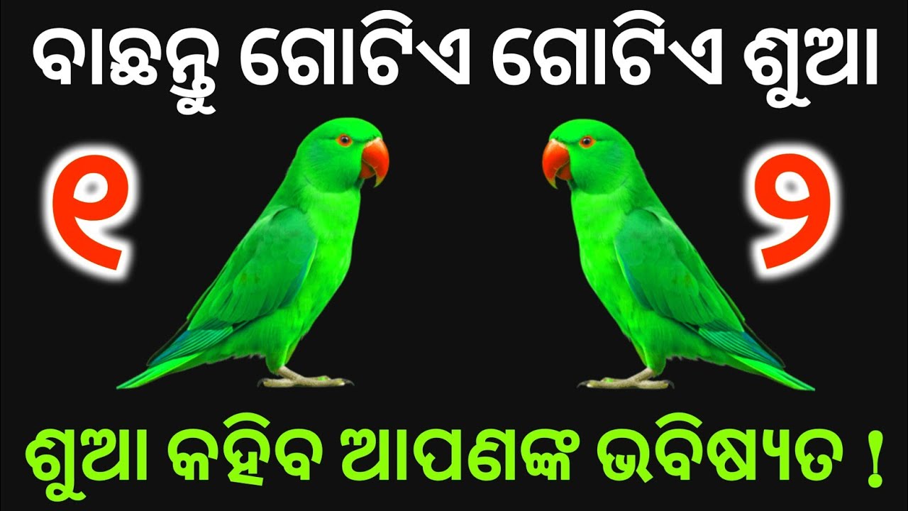 ବାଛନ୍ତୁ ଗୋଟିଏ ନମ୍ବର ଜାଣନ୍ତୁ ଆପଣଙ୍କ ଦୁଃଖ କେବେ ସରିବ ? astrology | bachantu gotia number 