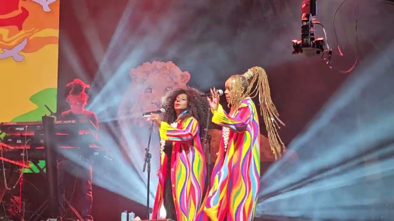 Alpha  Blondy & The Soöar System, Festival Rototom Sunsplash 2024 @nuriagraciafernandez6959
