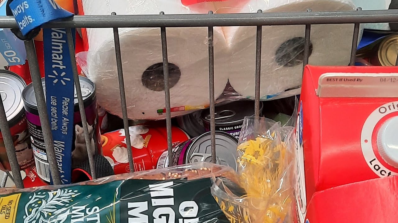 Walmart grocery haul with prices          #groceryhaul #groceries #walmart 