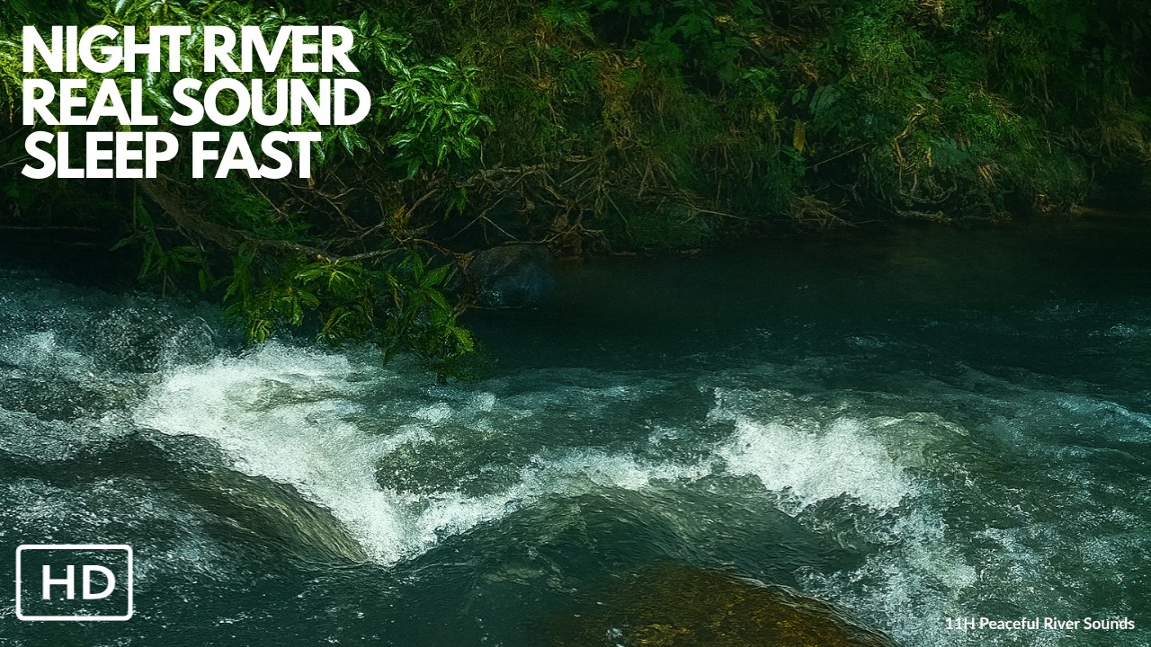 11 Hours Real River Sounds – Deep Sleep Night Ambience