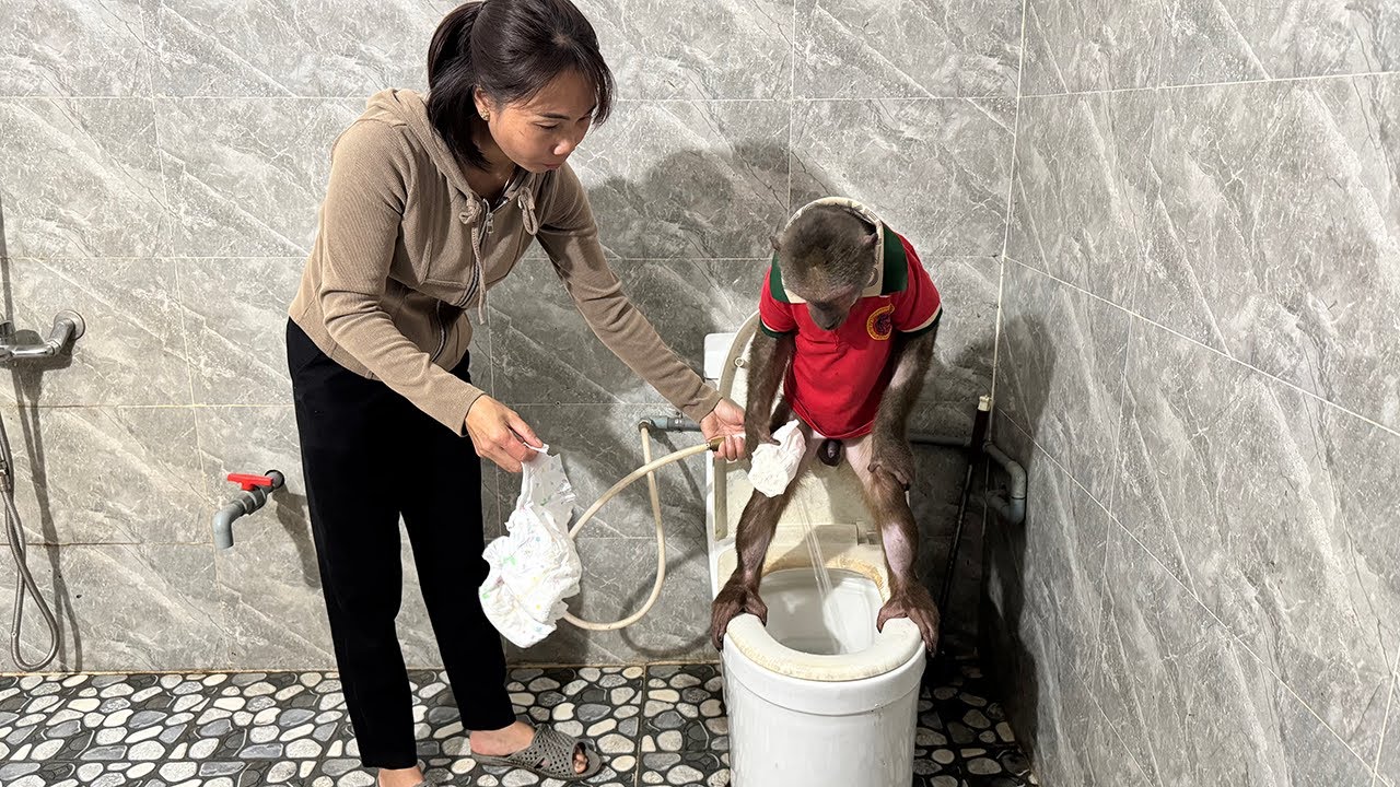 Monkey Abu trouble pooping and needs Mom's help!