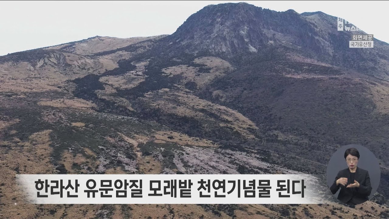 한라산 유문암질 모래밭 천연기념물 된다