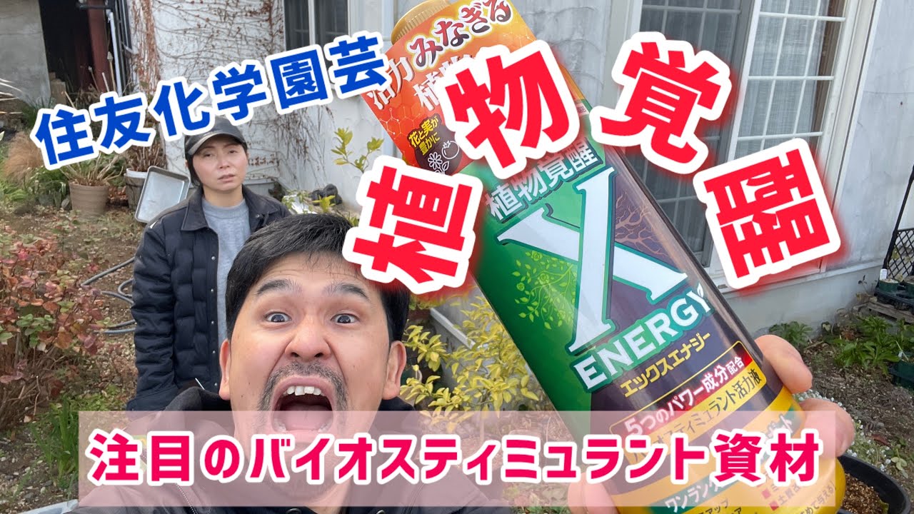 植物覚醒！注目の推しバイオスティミュラント資材！KINCHO園芸「X-ENERGY（エックスエナジー）」をご紹介！