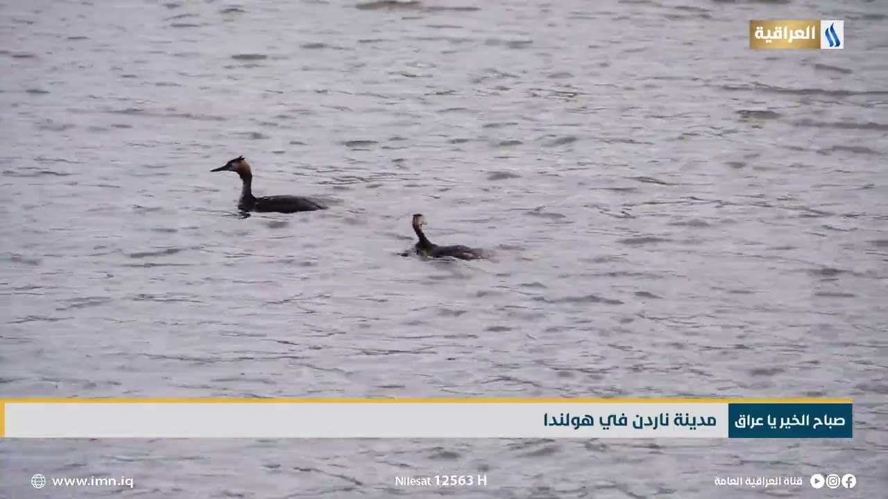 مدينة ناردن في هولندا | تقرير - لينا المنصور