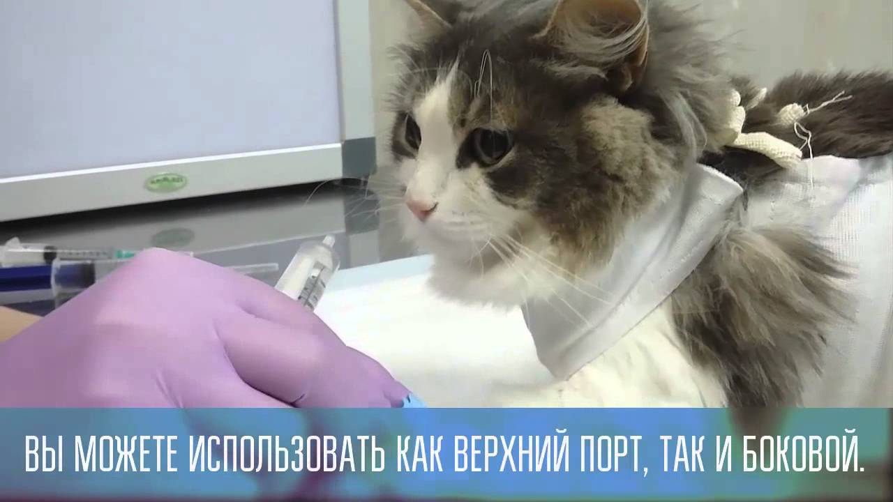 Техника внутривенного введения в катетер