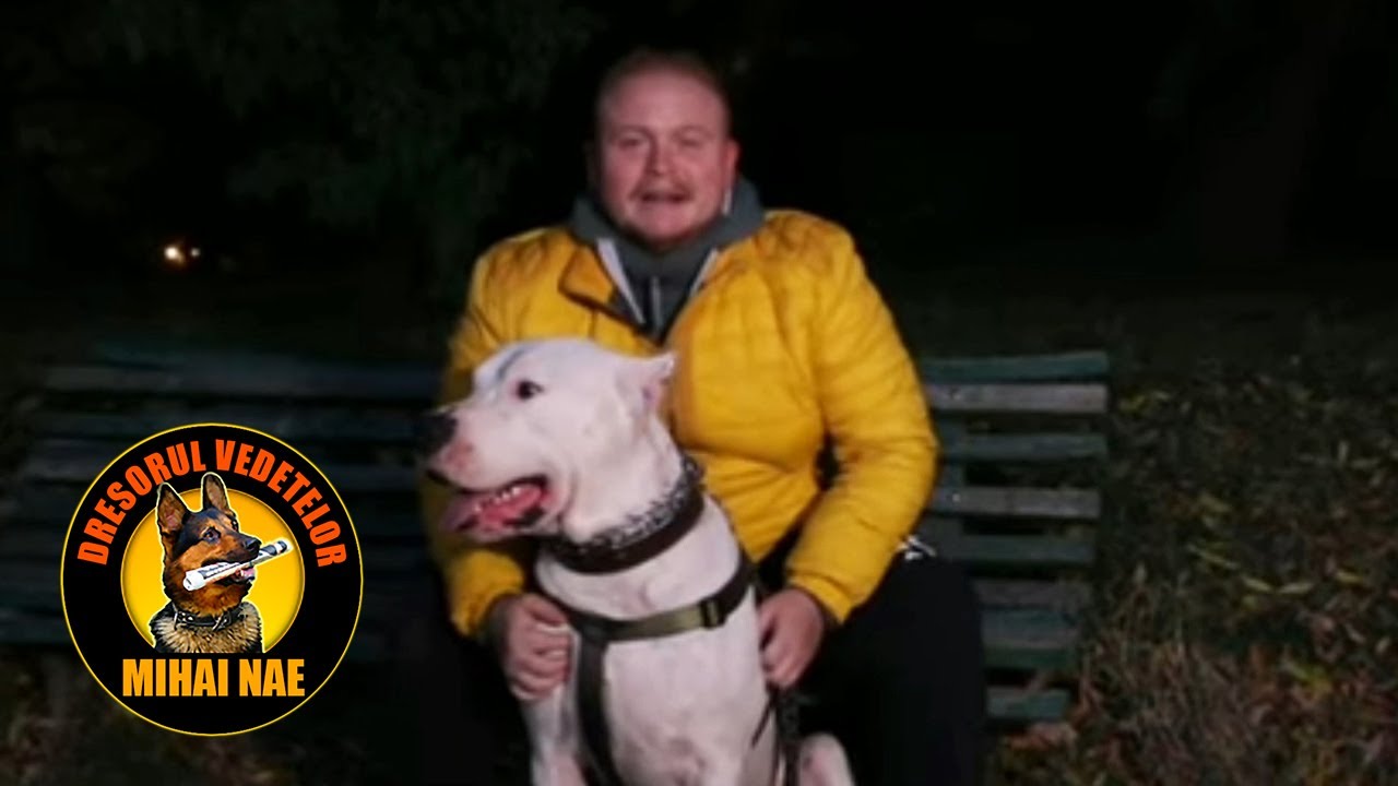 Mihai Nae @ PetMania (TVR 1) 🐾 Zeus, Dogul Argentinian, si socializarea in trafic