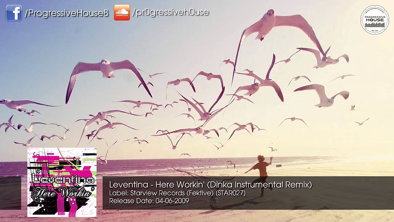 Leventina - Here Workin' (Dinka Instrumental Remix) [Starview Records (Fektive)]