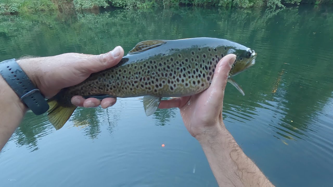 Pesca en la ciudad: retos y ventajas de pescar en un entorno urbano