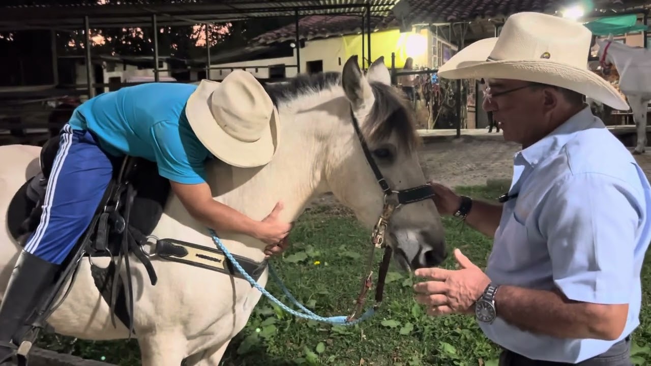 Equinoterapia y la Doma de Caballos