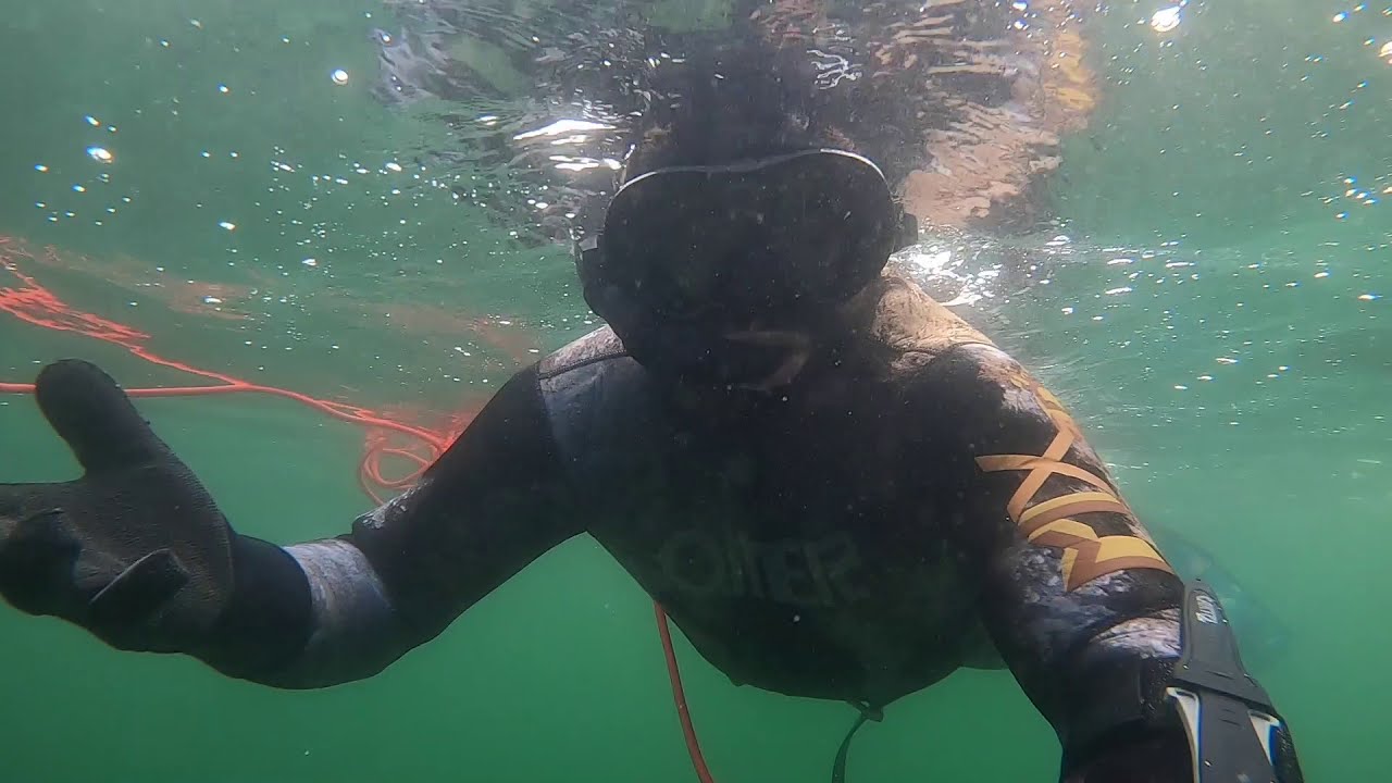 First Dive After Victorian Lockdown