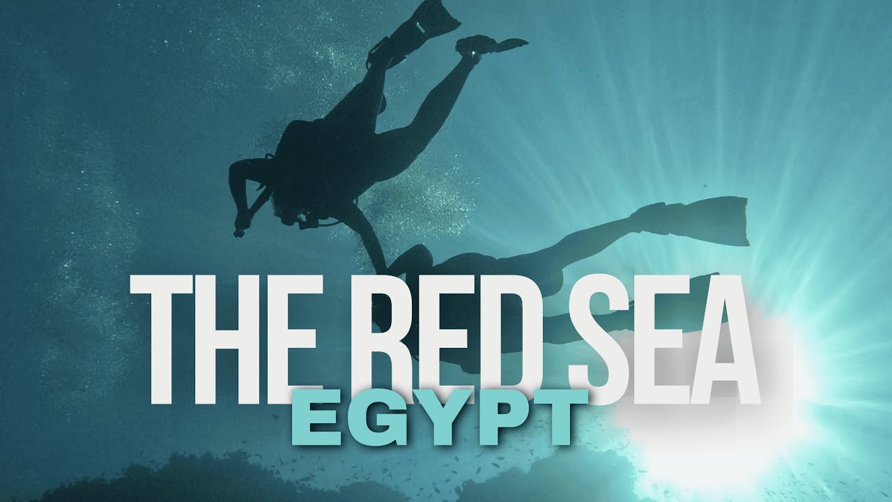Diving In The Red Sea - Tiran Island, Egypt