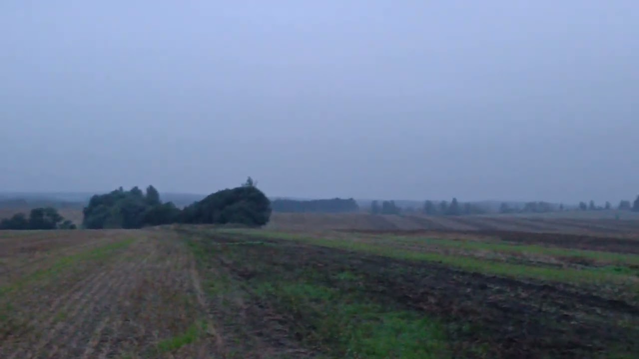 Рассвет на Куликовом поле 