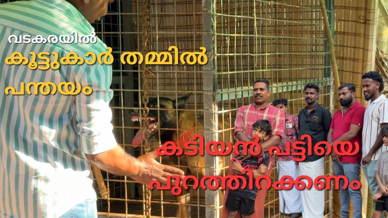 പട്ടി കടിക്കുമെന്ന് ഉടമ.. സുഹുത്തിന് വേണ്ടി ഞാൻ.. Dog challenge 