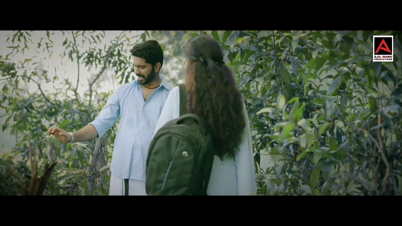 Panjavarna Kulire Palazhi Kadavil | Edited Version | Cover Remix | Sreeram Ramachandran | Parvathy