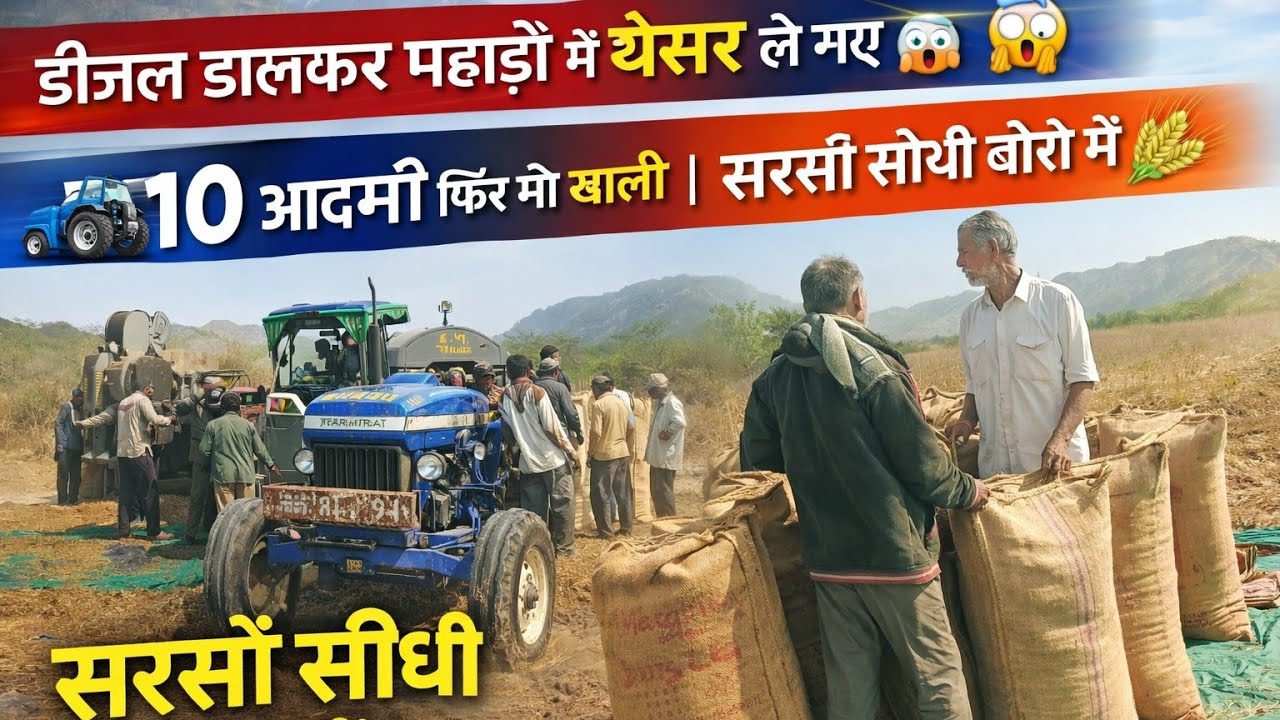 डीजल डालकर पहाड़ों में थ्रेसर ले गए 😱 | 10 आदमी फिर भी खाली | सरसों सीधी बोरी में 🚜🌾