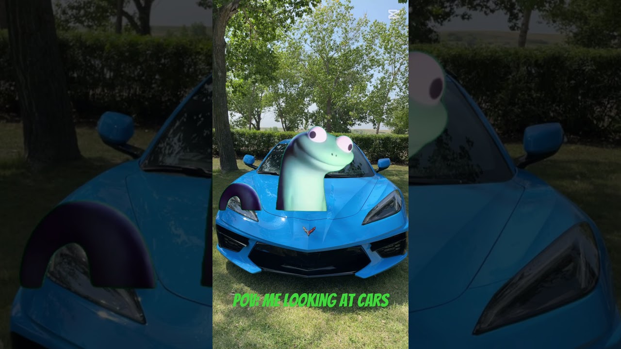 POV: me looking at cars #cars #lizard