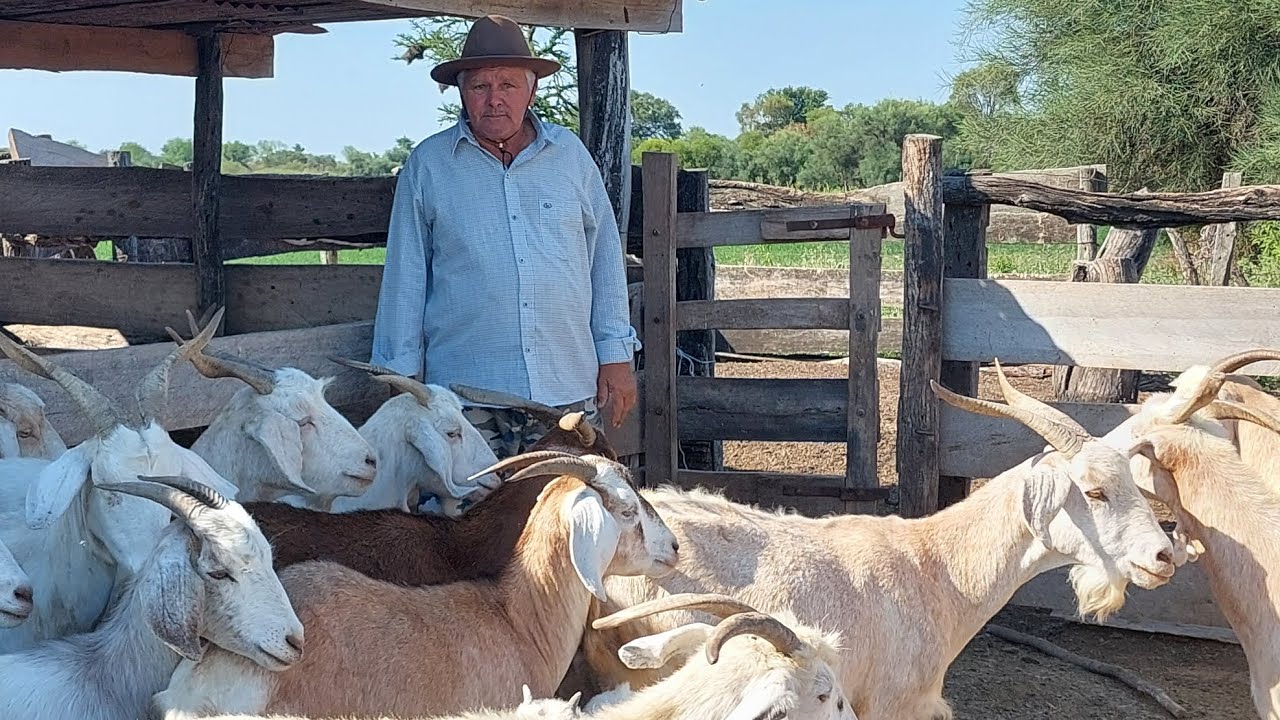Así es la VIDA en una COLONIA RURAL AISLADA de TODO/ Colonia Pampa Zanata- Chaco