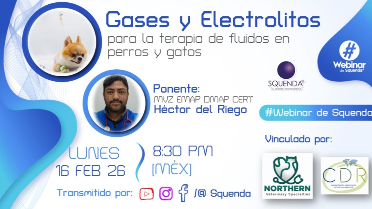 Terapia de Fluidos: Gases y Electrolitos en Perros y Gatos | MVZ Héctor del Riego