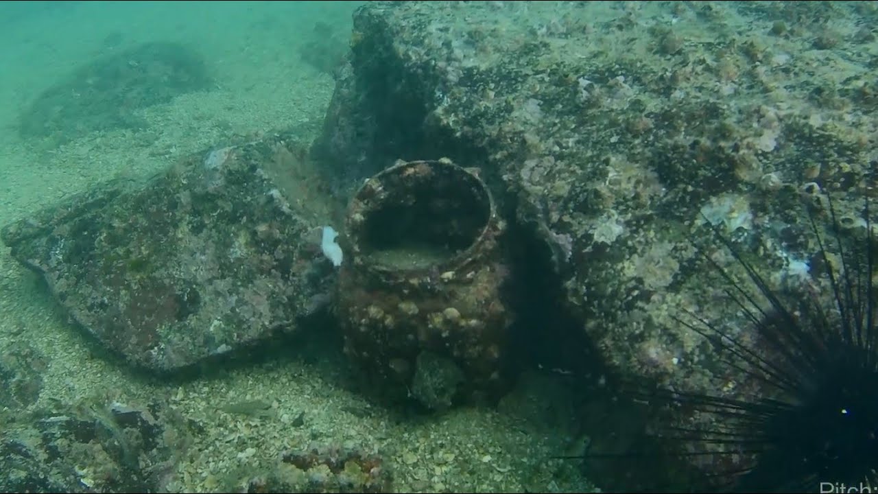 Gladius mini潛拍東龍島碼頭左面