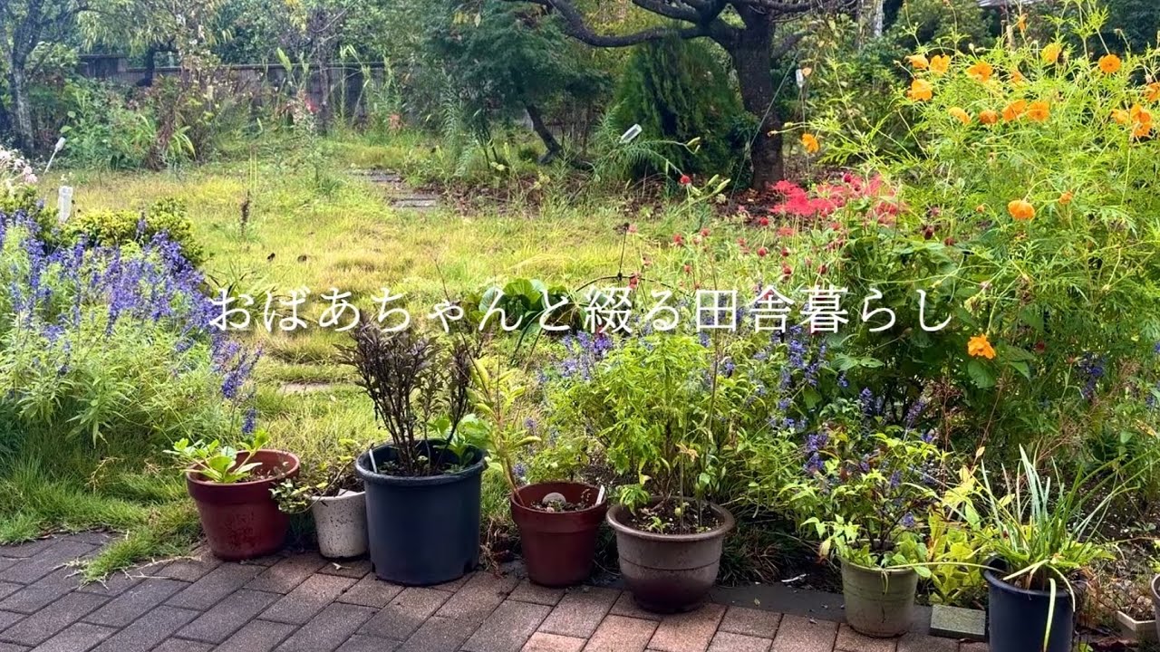 秋雨🍂今日はわんこも一緒！大好きなおばあちゃんの素朴な手料理と孫が買ってきたコンビニスイーツを食べる