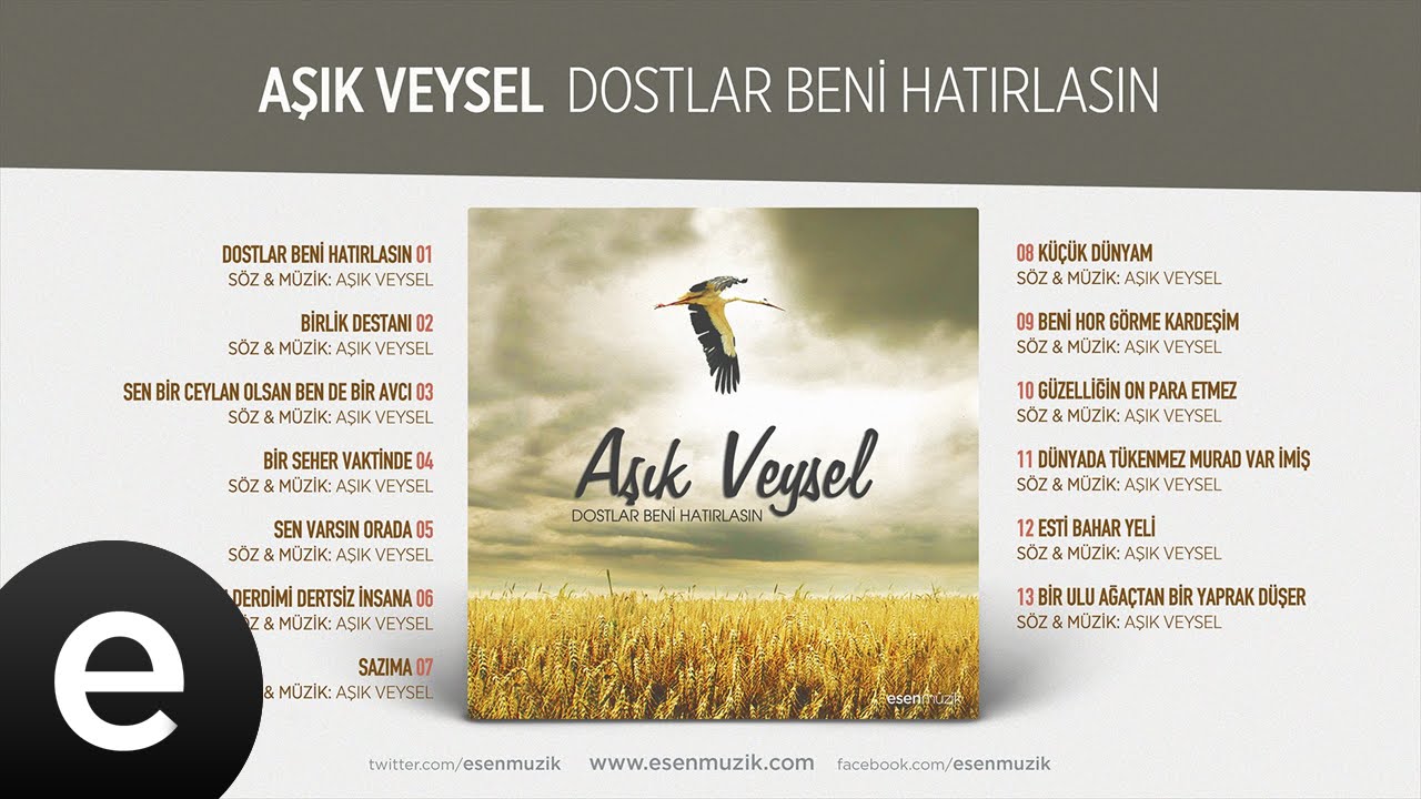 Anlatmam Derdimi Dertsiz İnsana (Aşık Veysel) Official Audio #anlatmamderdimi #aşıkveysel