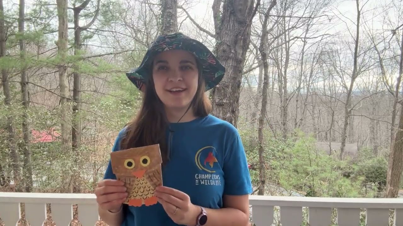 Owl Paper Plates | Wildlife Crafts