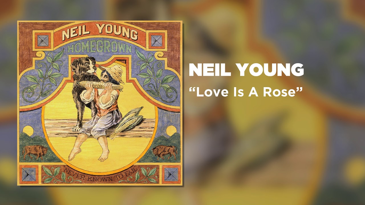 Neil Young - Love Is A Rose (Official Audio)