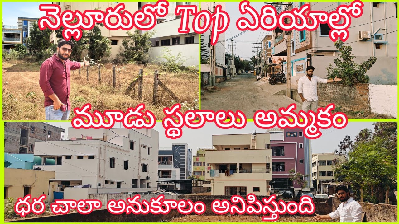 నెల్లూరులోని top ఏరియాల్లో మూడు స్థలాలు అమ్ముతున్నారు ధర కూడా చాలా అనుకూలం అనిపిస్తుంది మంచి లొకేషన్