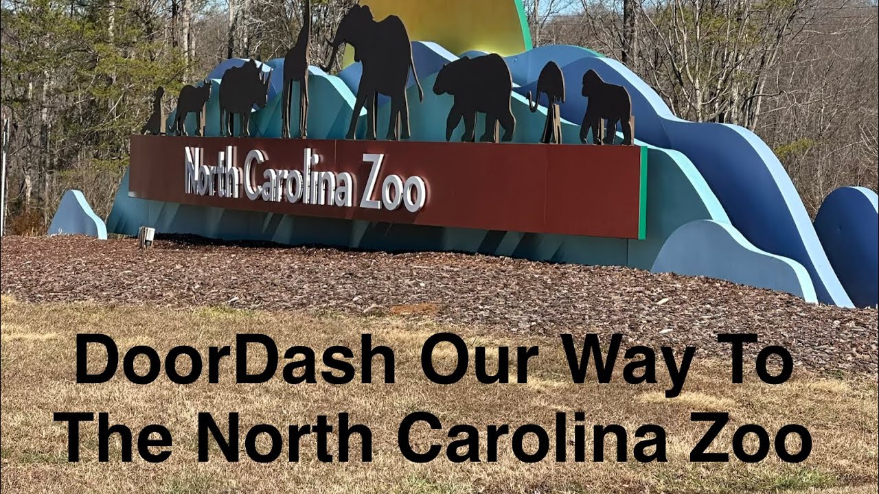 DoorDash Our Way To The North Carolina Zoo!!! Fun Day Overall A Little Work A Lot Of Animals 
