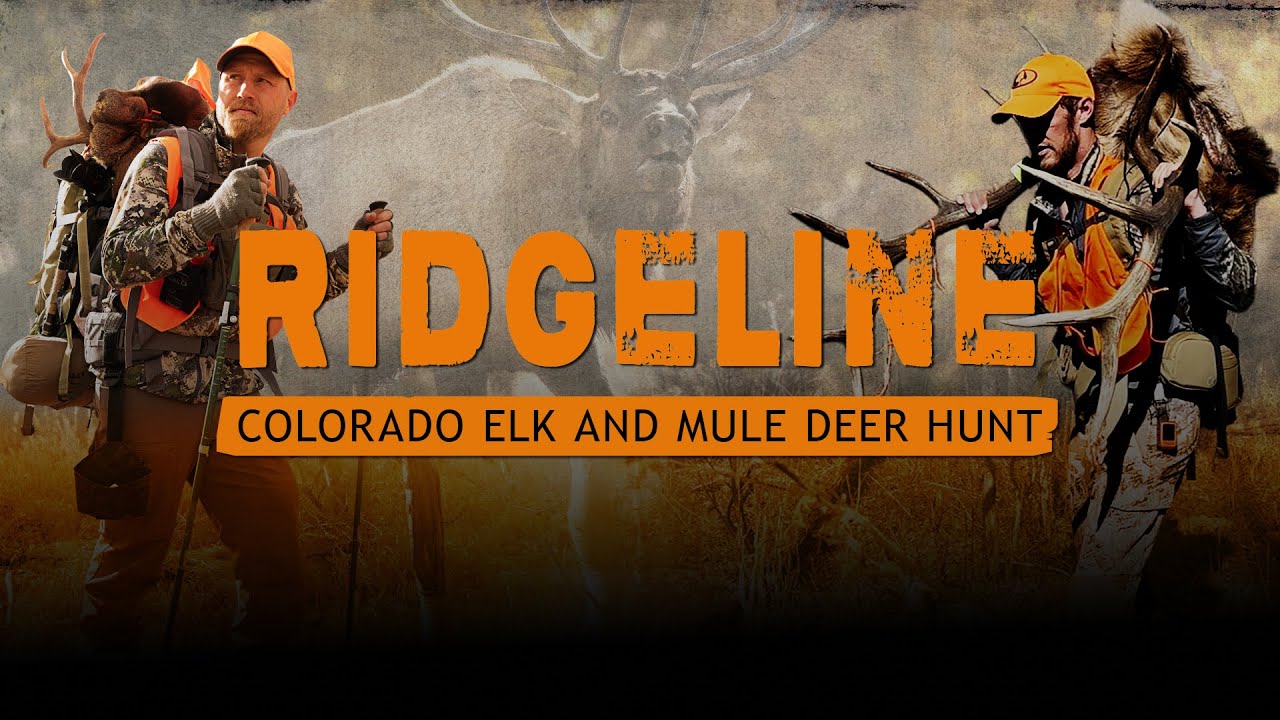 Ridgeline: Backcountry DIY Hunting Elk & Mule Deer in Colorado