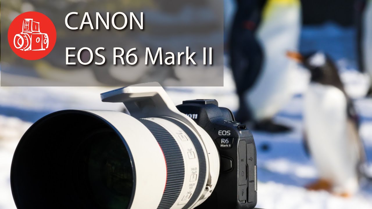 Canon EOS R6 Mark II Review