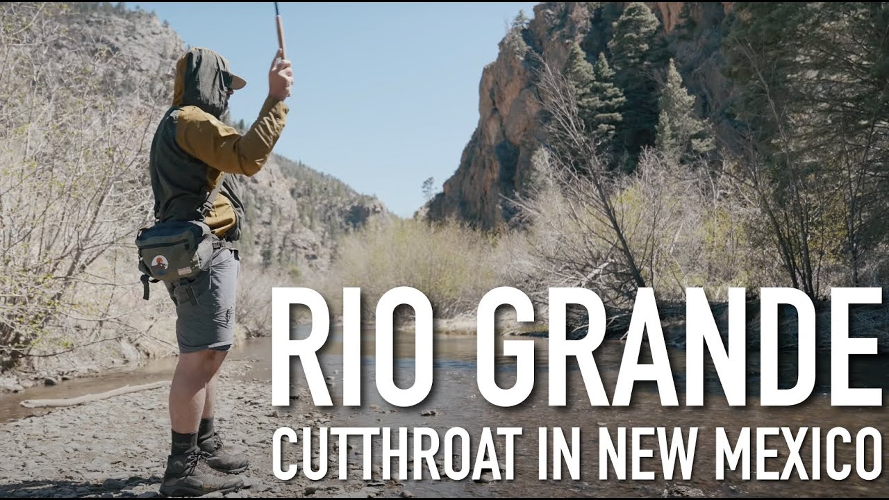 Rio Grande Cutthroat in New Mexico - Episode 10 of the Western Native Trout Challenge