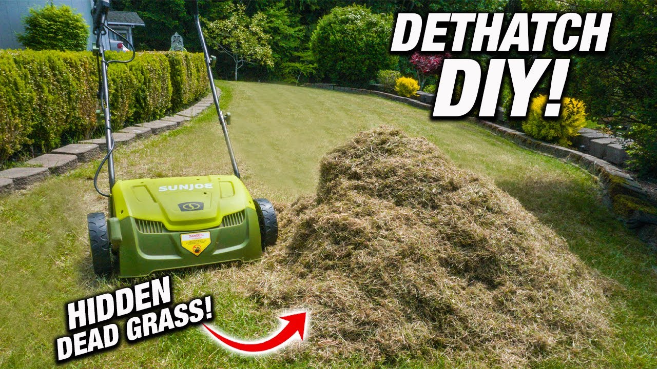 How To DETHATCH Your Lawn! CHEAP DIY Spring Lawn Care!