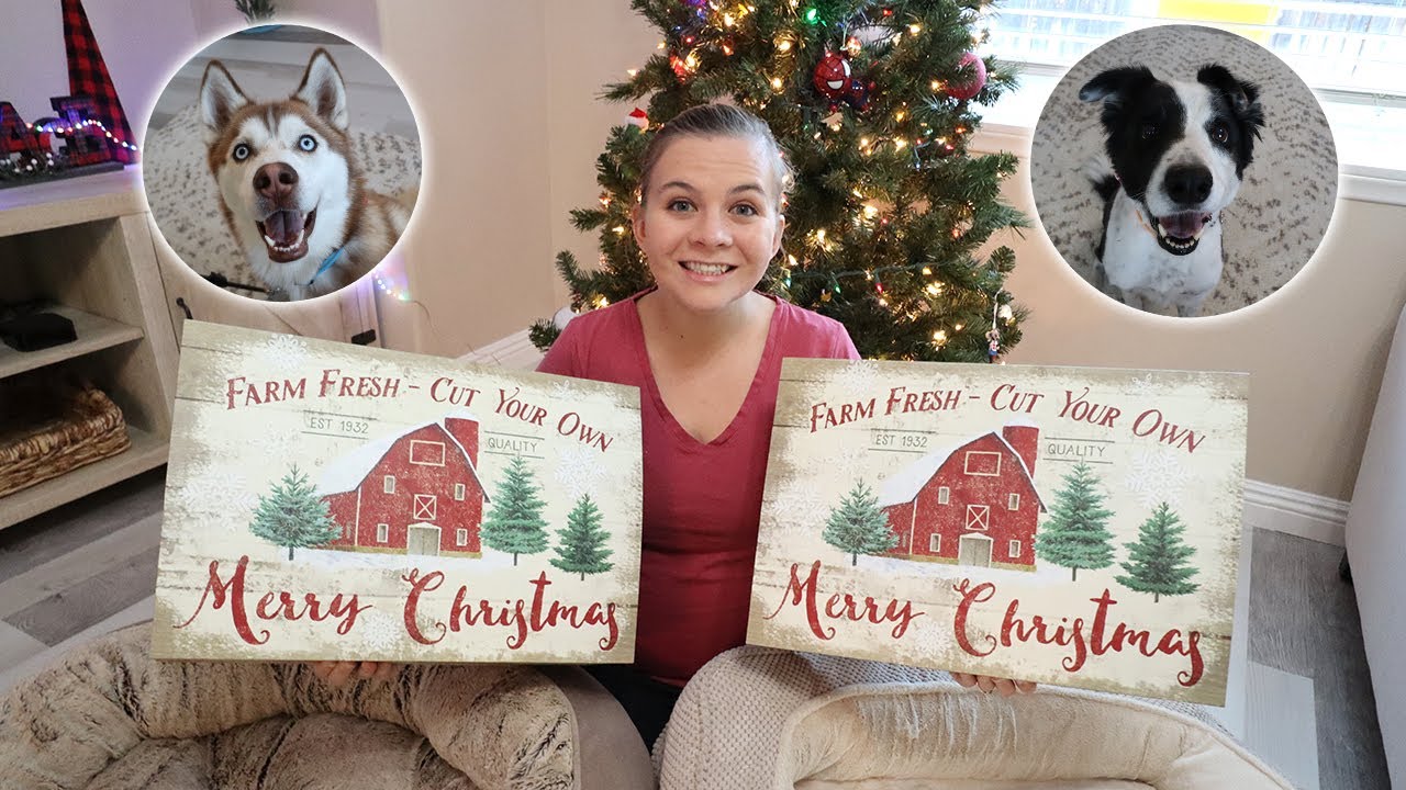 BUYING MY DOGS CHRISTMAS PRESENTS! *Change Only Challenge*