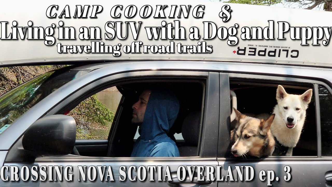 Overlanding Across Nova Scotia 3: Van Life with dog & puppy, Offroading Truck Camping in 4Runner SUV