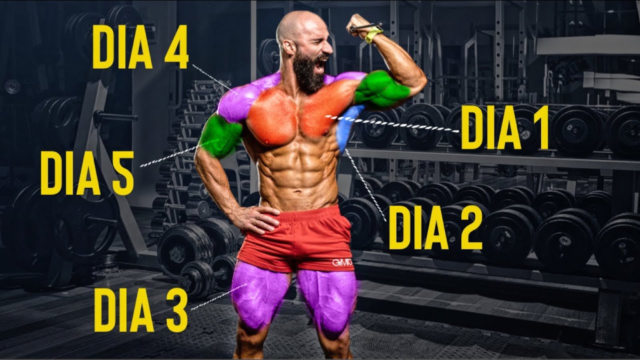Semana Completa de Entrenamiento en el Gym