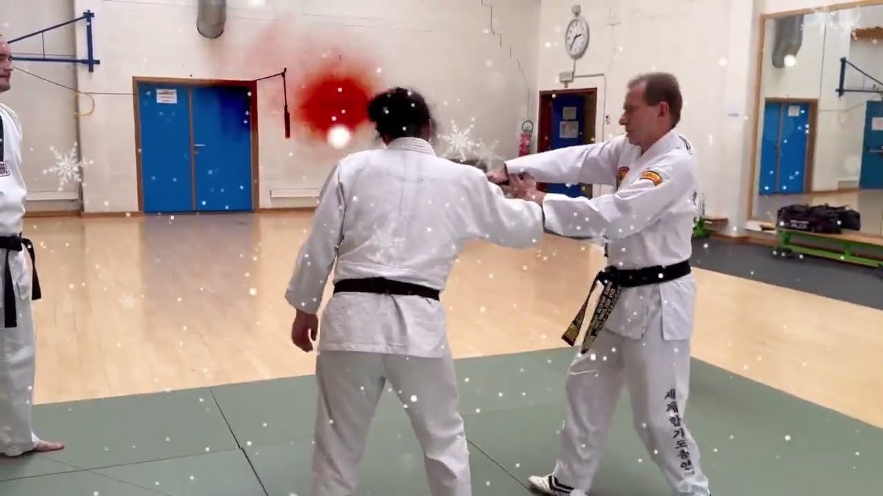 J.J.N. Hapkido Team - Joyeux Noël 2025
