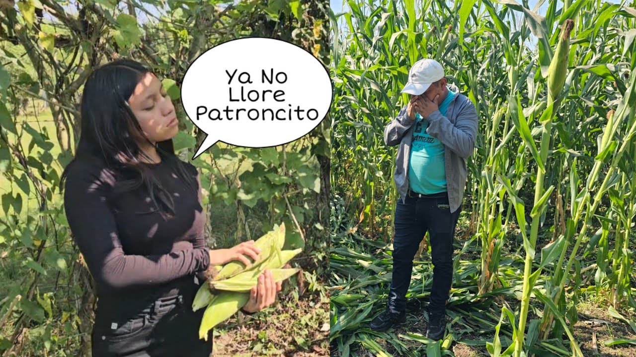 Estrella Consuela A Noe Al Verlo LIorando Amargamente Con Esta Perdida😭