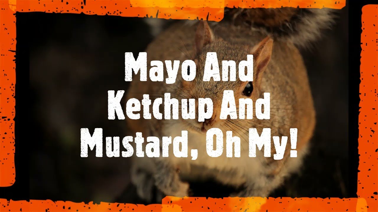 Mayo And Ketchup And Mustard, Oh My!