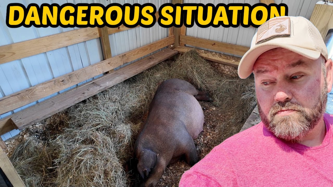 We've Got An EMERGENCY Situation...Had To Act Fast!