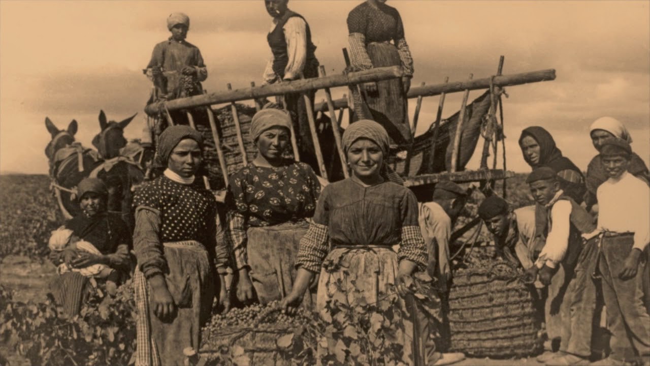 Jumilla vendimia años 40 y 50