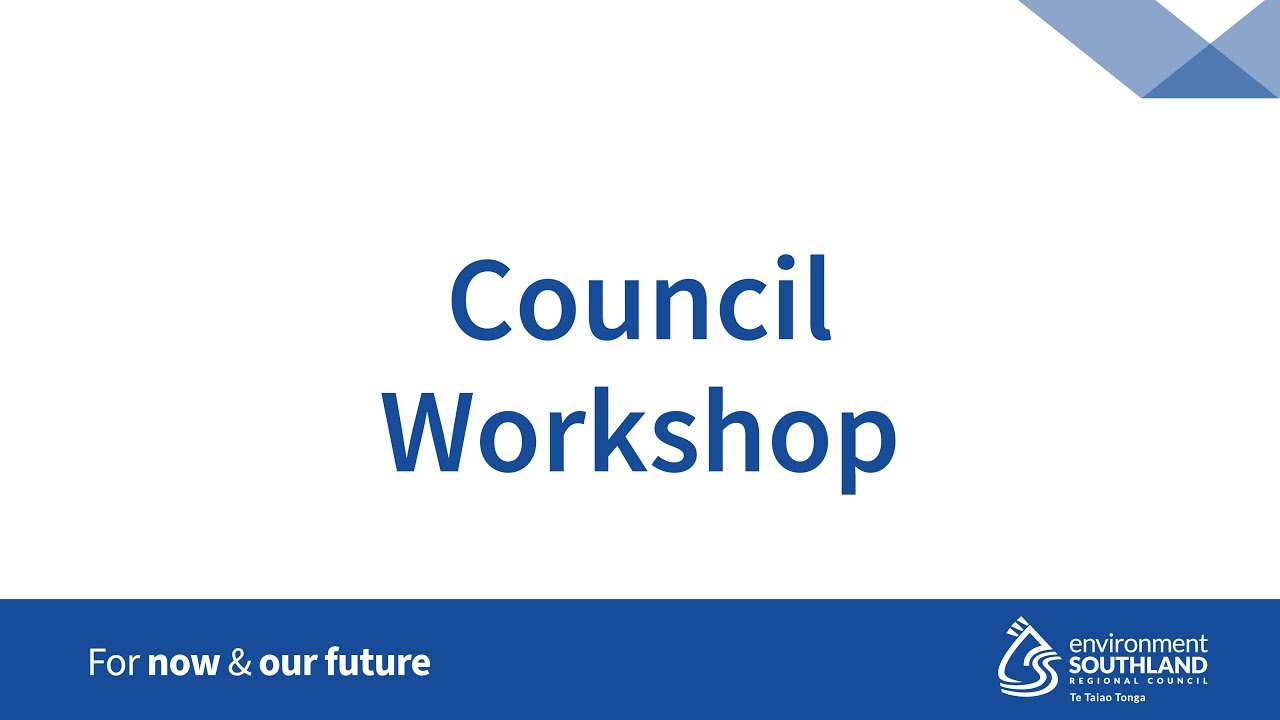 Council Workshop - Council committees - Monday, 10 November 1pm