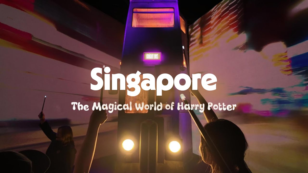 I Stepped INSIDE the Wizarding World | A Visions of Magic Vlog (Singapore)