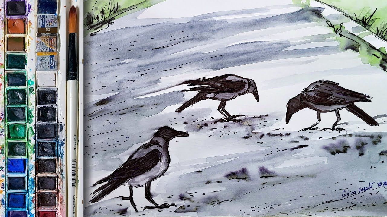 Quick watercolor sketch of three crows searching for food  #crows #watercolor #watercolorpainting