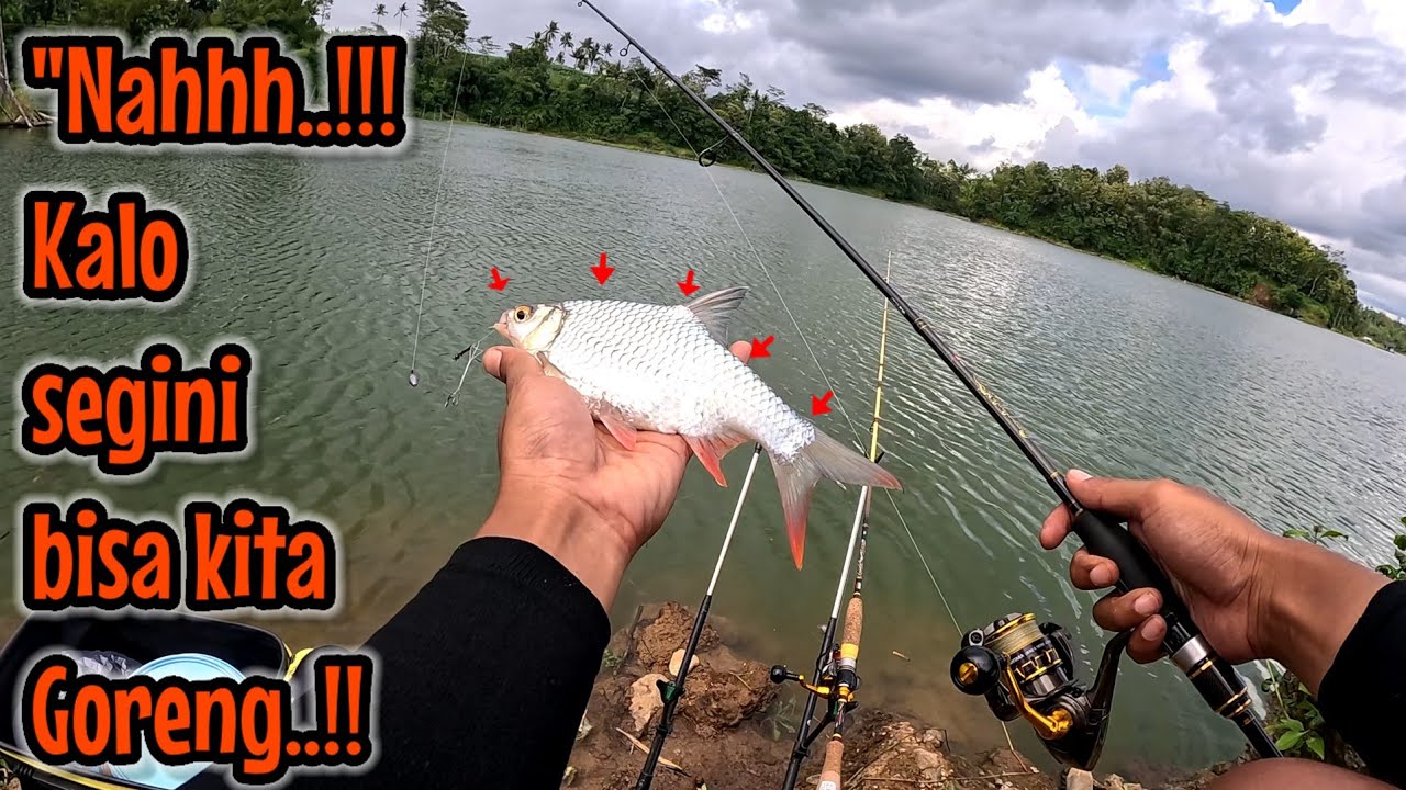 SEKALI LAGI MANCING DASARAN TARGET IKAN BADER ‼️ KALI INI KITA GORENG HASILNYA