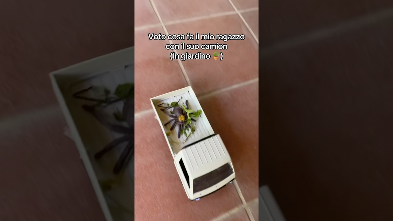 Truckito camioncino giardiniere 🧑&zwj;🌾 #coppia #fidanzata #camion #amore #fidanzato #regalo