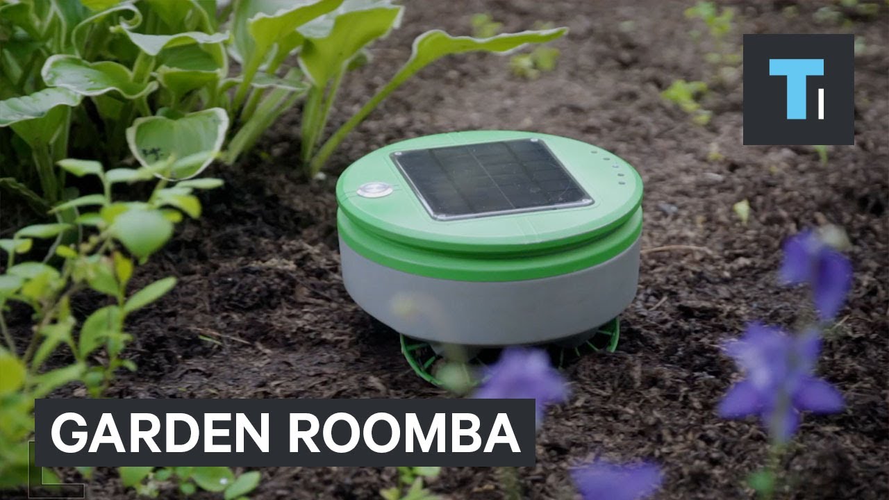 This Roomba for your garden can be your weed warrior