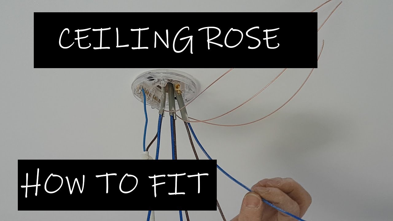 How to install a Ceiling Rose - ESSEX ELECTRICIAN