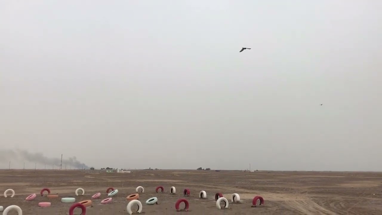 بر الفاو  مسبوك صافي