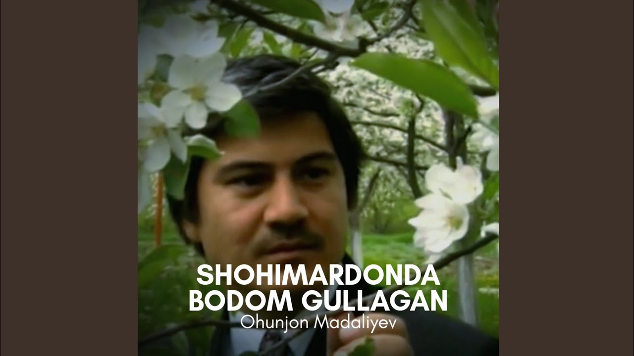 Shohimardonda bodom gullagan